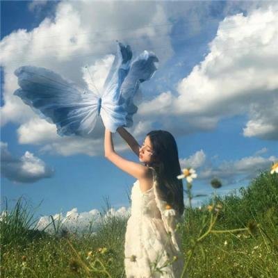 瘦虎肥龙